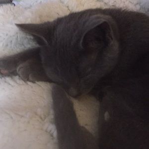 Meet your Posher, Tamara